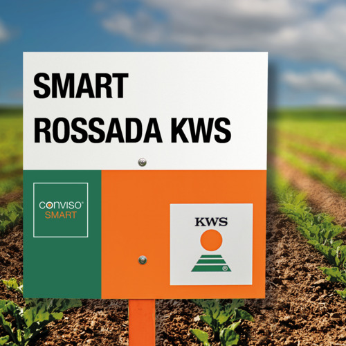 smart-rossada-kws_image-500.jpg