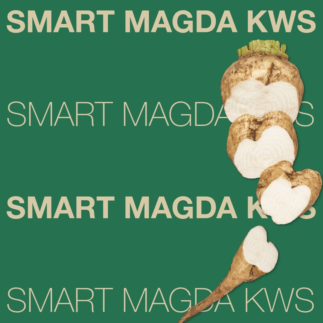 smart_magda_kws_keyvisual_hr_1x1_1.jpg