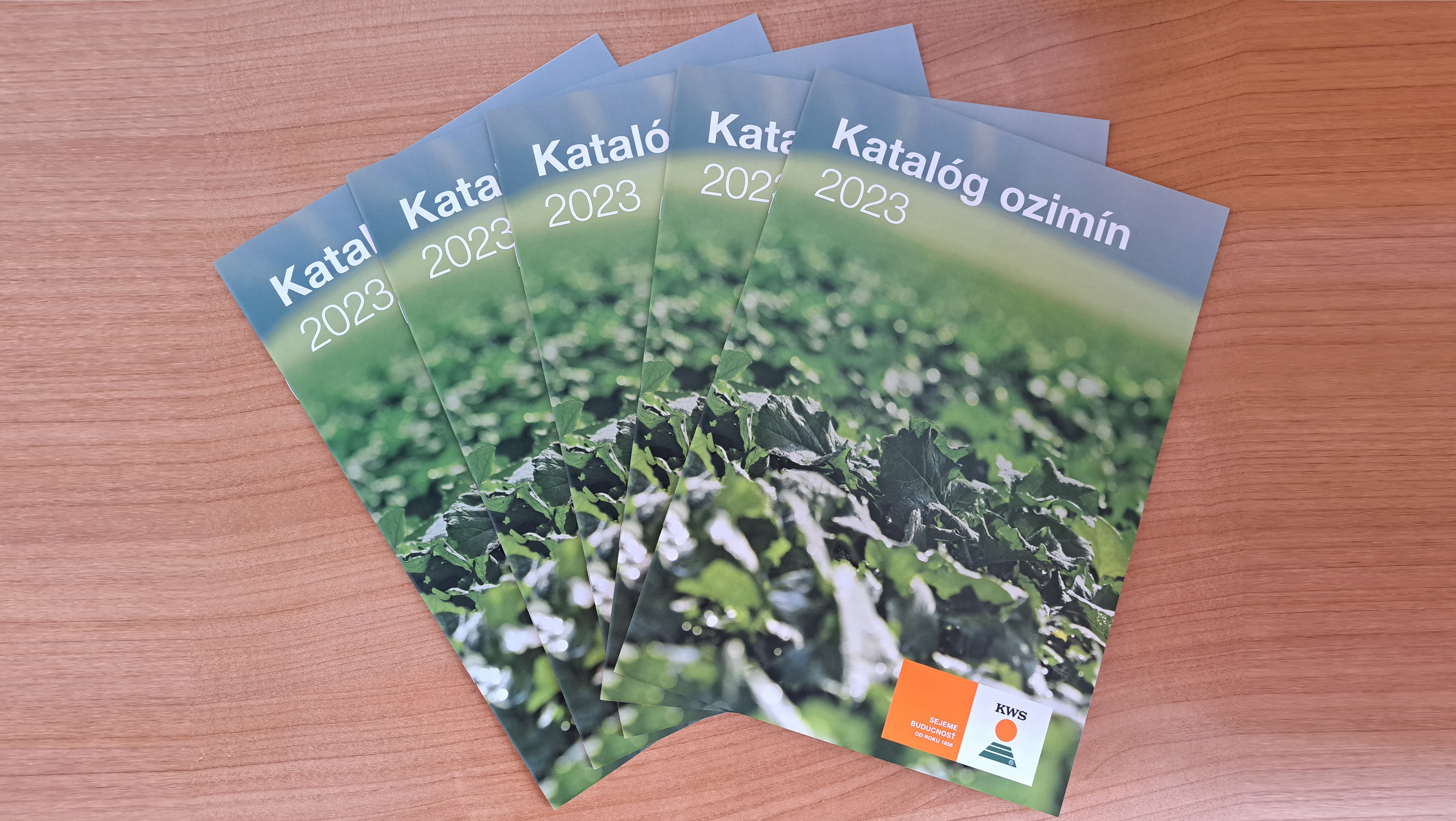 katalog_repka_2023.jpg