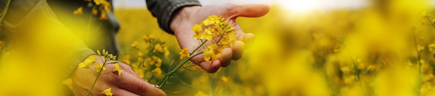 kws_osr_plantpower_1440x320.jpg