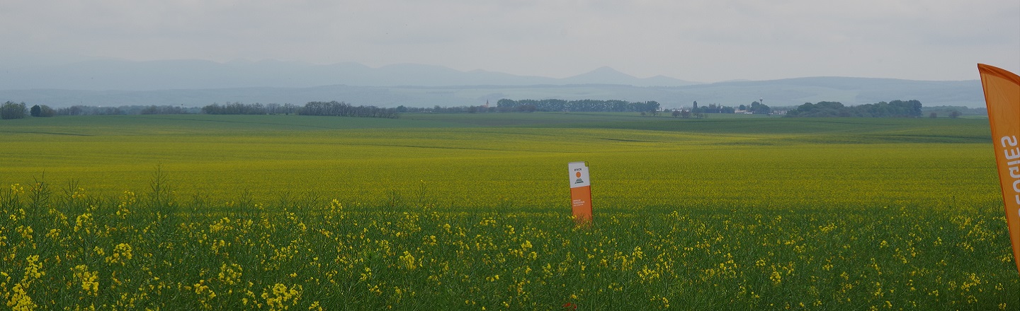 sk_fd_2025.jpg