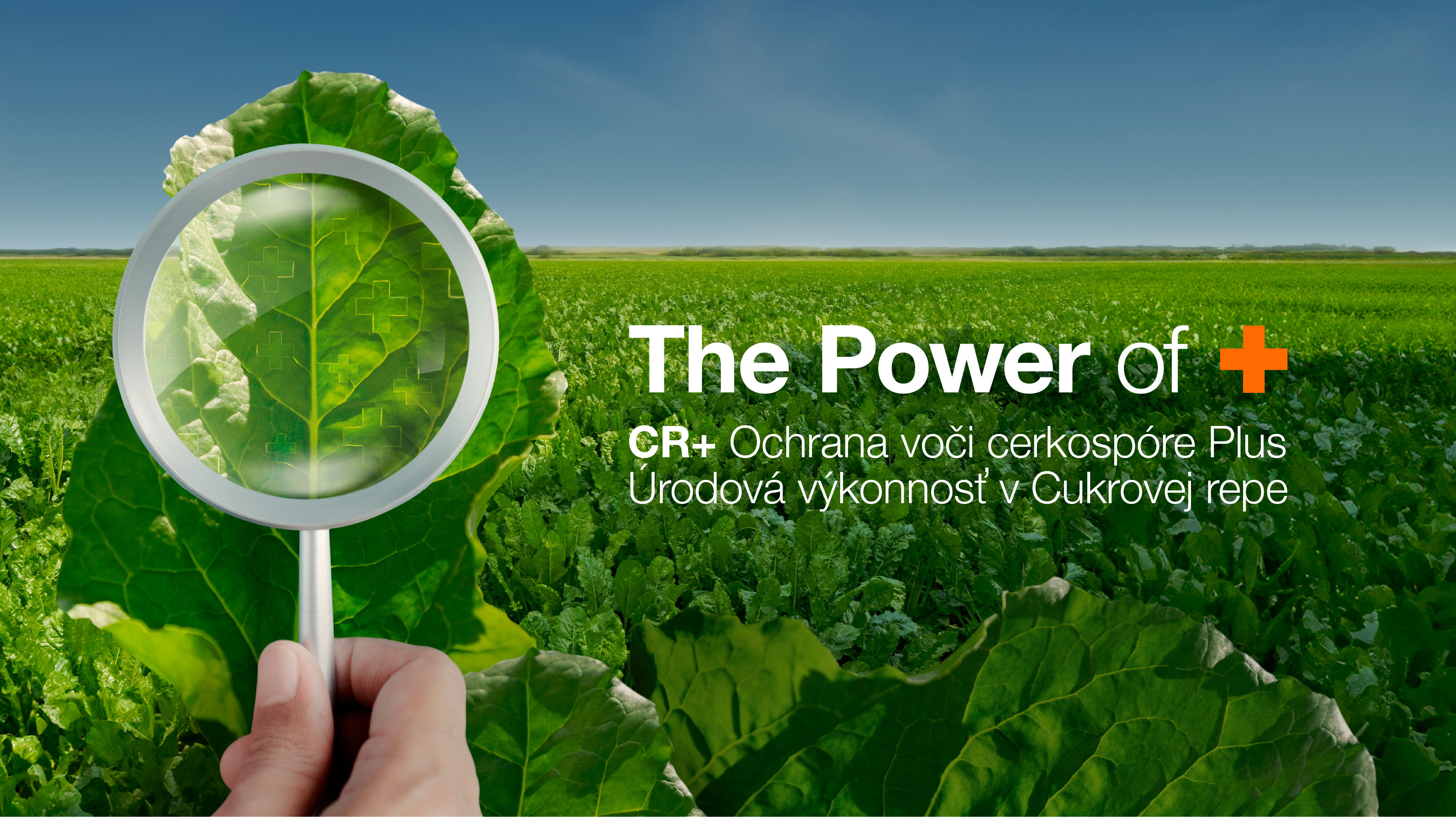 cr-2025-the-power-of-landing-page-sk.jpg