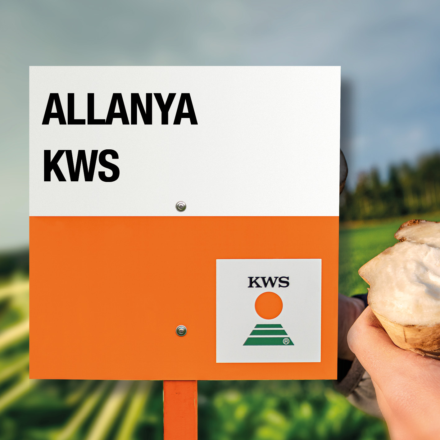 allanya-kws-jpg.jpg