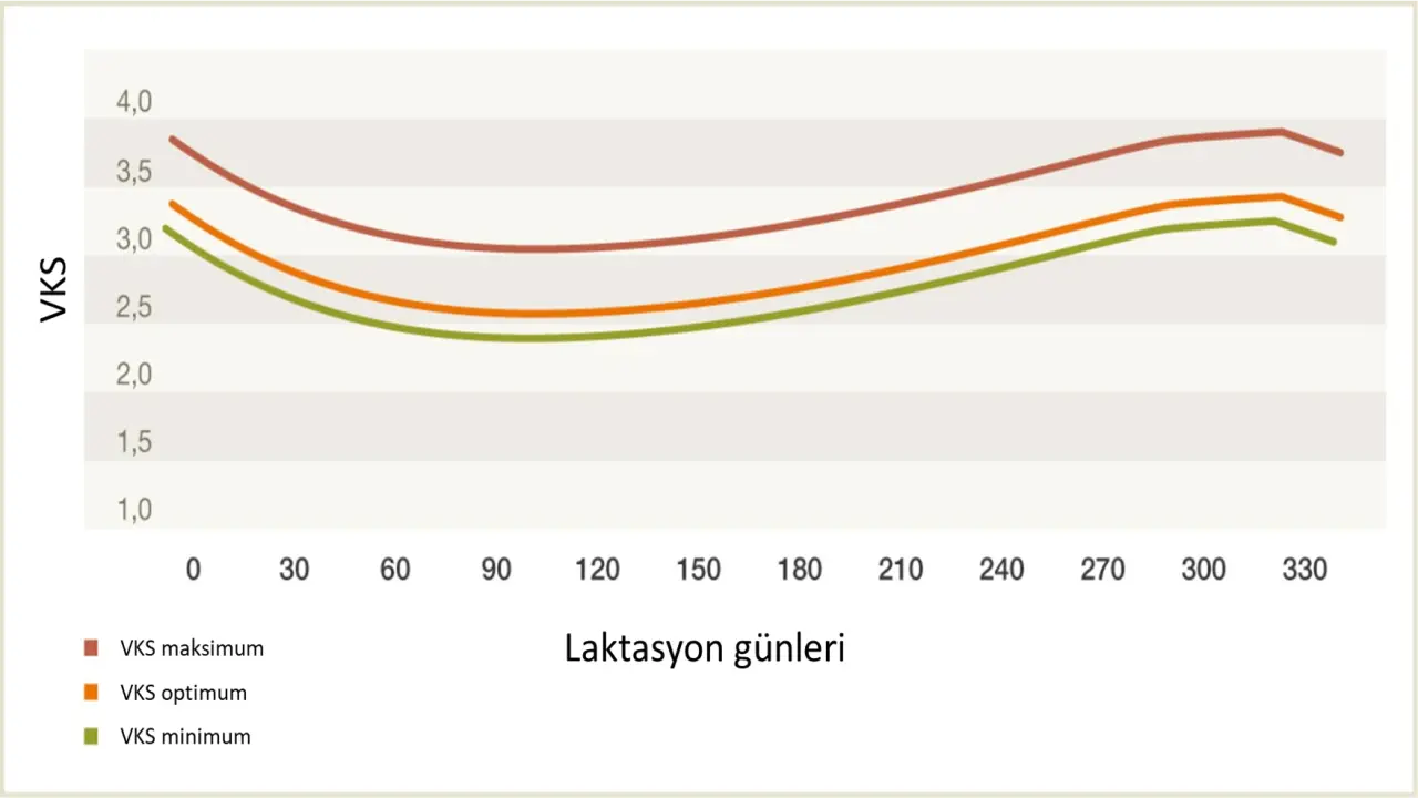 image-lactation-curve-new.png