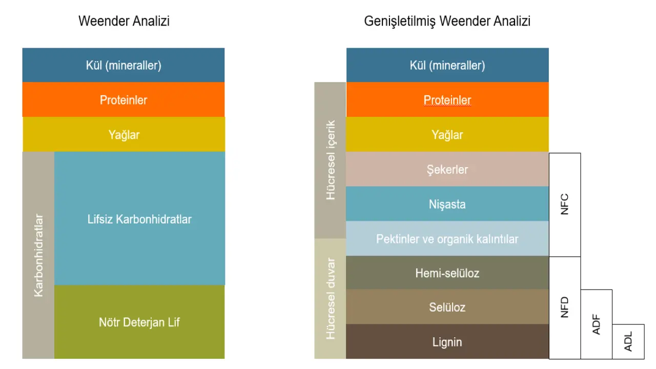 image-weender-analizi-4-new.png