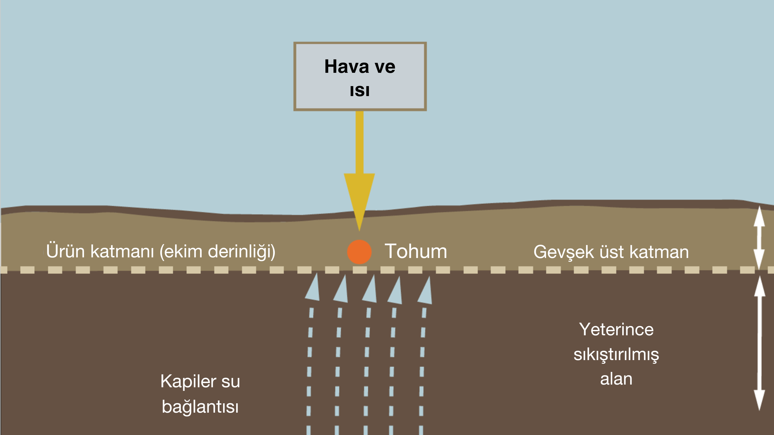 Kaynak: KWS SAAT SE &amp; Co. KGaA