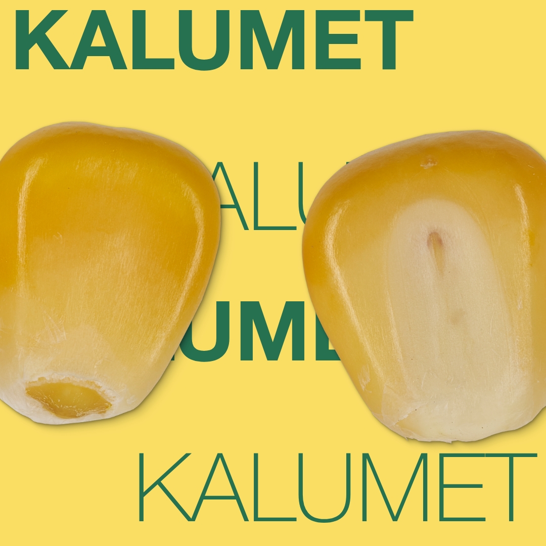 kalumet_keyvisual_tr_1x1_1.jpg