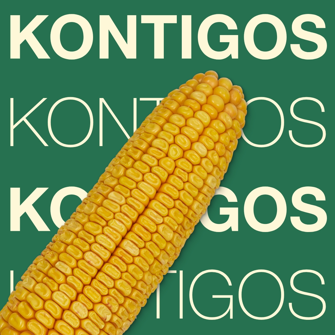 kontigos_keyvisual_tr_1x1_1.jpg
