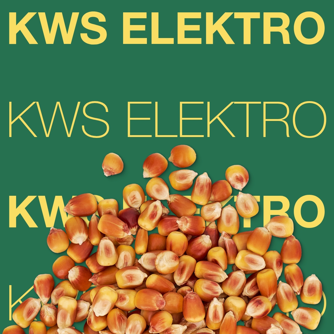 kws_elektro_keyvisual_tr_1x1_1.jpg