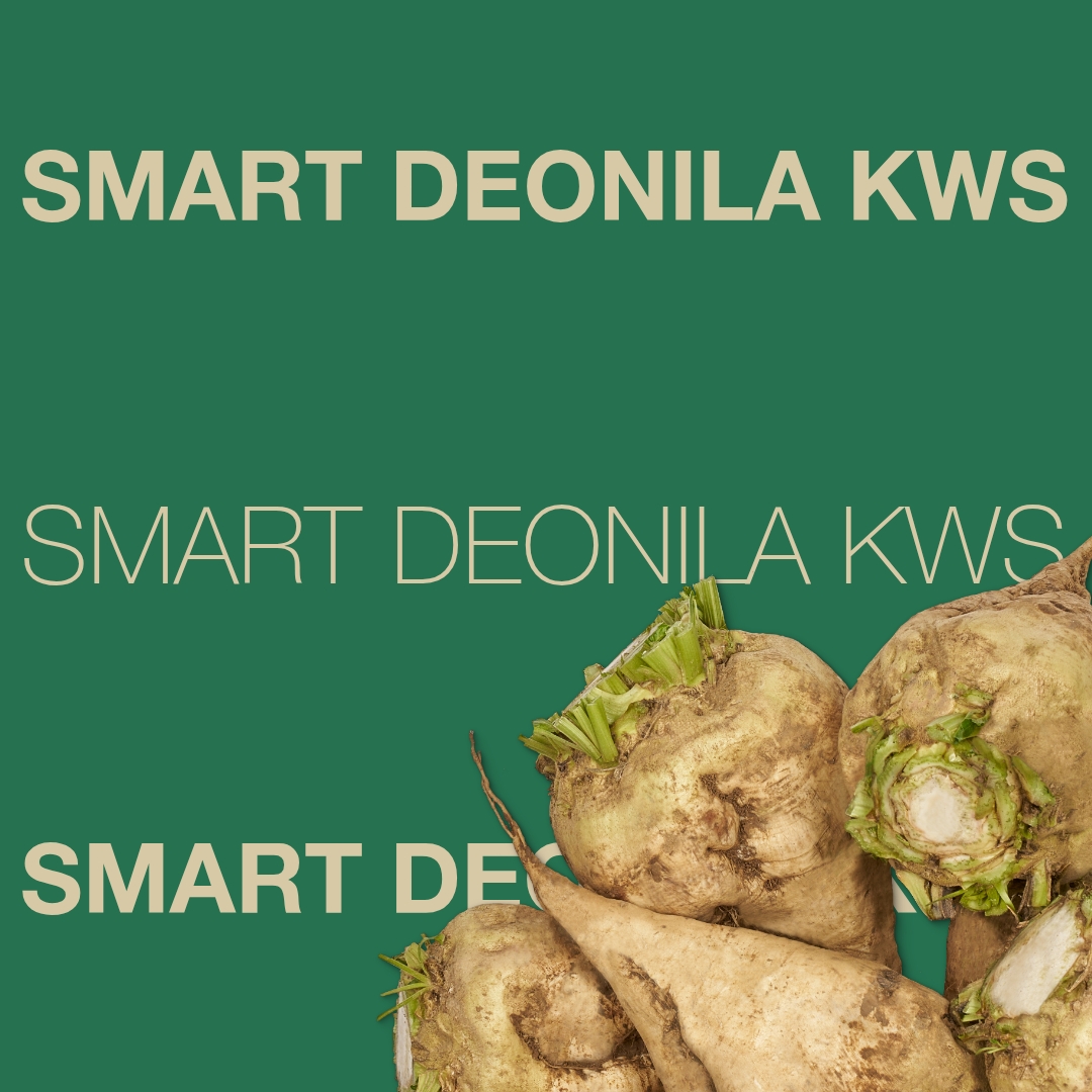 smart_deonila_kws_keyvisual_tr_1x1_1.jpg