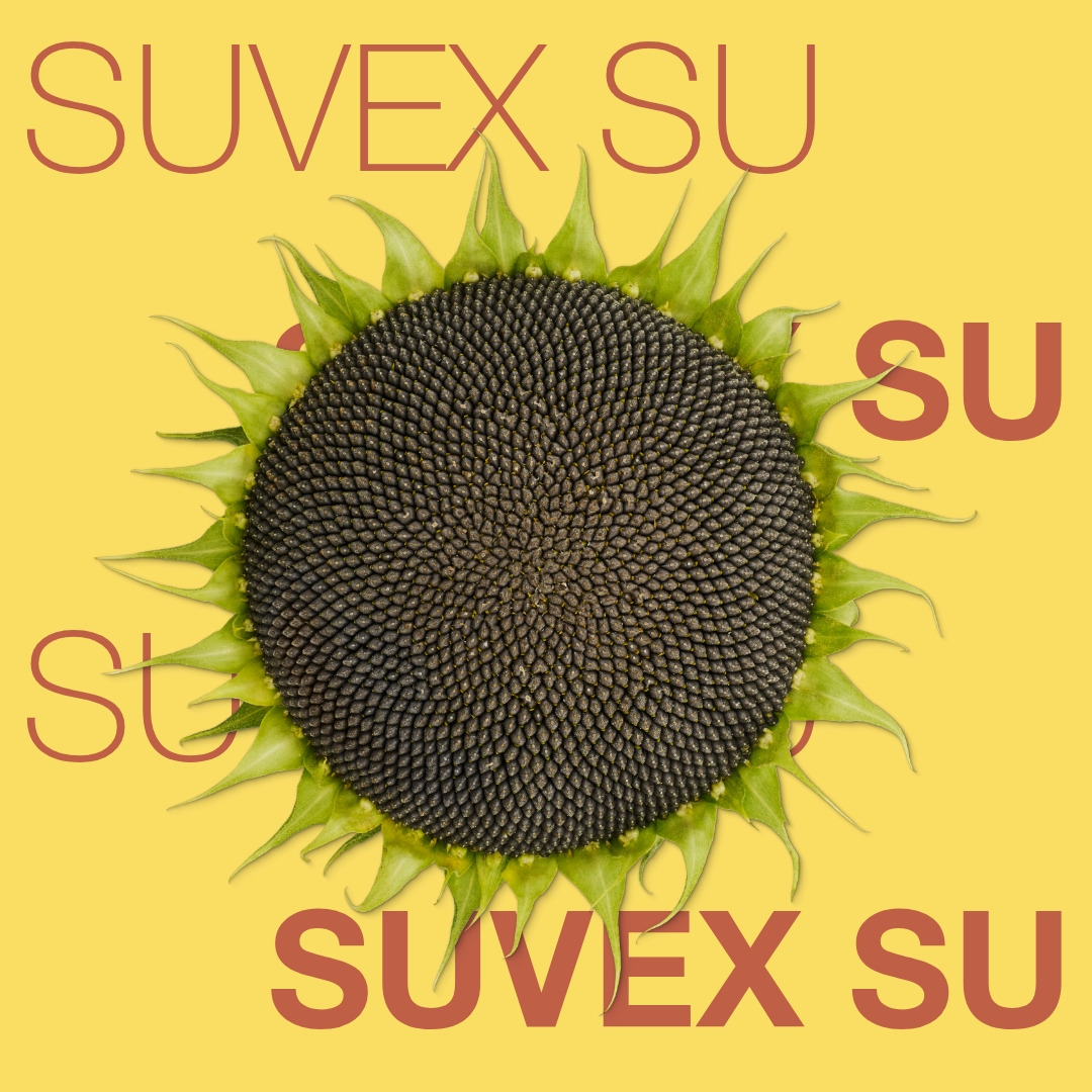 suvex_su_keyvisual_tr_1x1_1.jpg