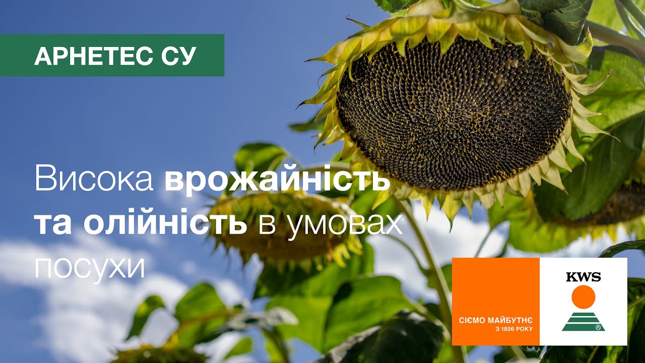 %D0%B0%D1%80%D0%BD%D0%B5%D1%82%D0%B5%D1%81-%D1%81%D1%83.jpg