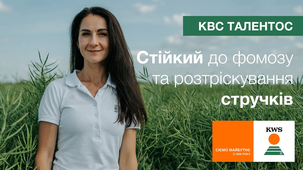 %D0%BA%D0%B2%D1%81-%D1%82%D0%B0%D0%BB%D0%B5%D0%BD%D1%82%D0%BE%D1%81_%D0%B2%D1%96%D0%B4%D0%B5%D0%BE.jpg