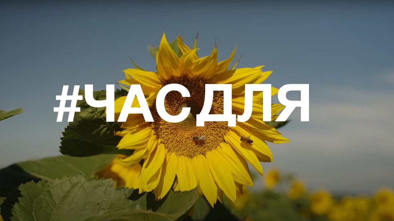 %D1%87%D0%B0%D1%81%D0%B4%D0%BB%D1%8F.jpg
