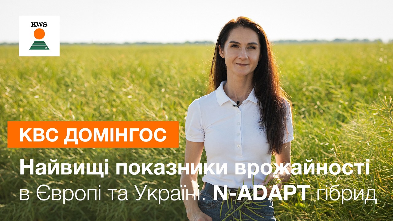 %D0%9A%D0%92%D0%A1-%D0%94%D0%BE%D0%BC%D1%96%D0%BD%D0%B3%D0%BE%D1%81.jpg