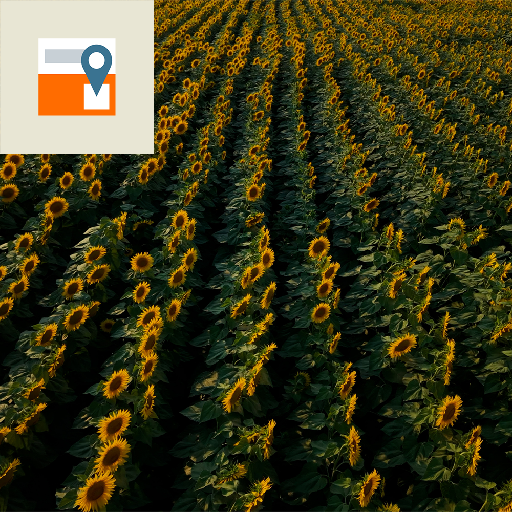 planning consultancy sowing salesrep farmer