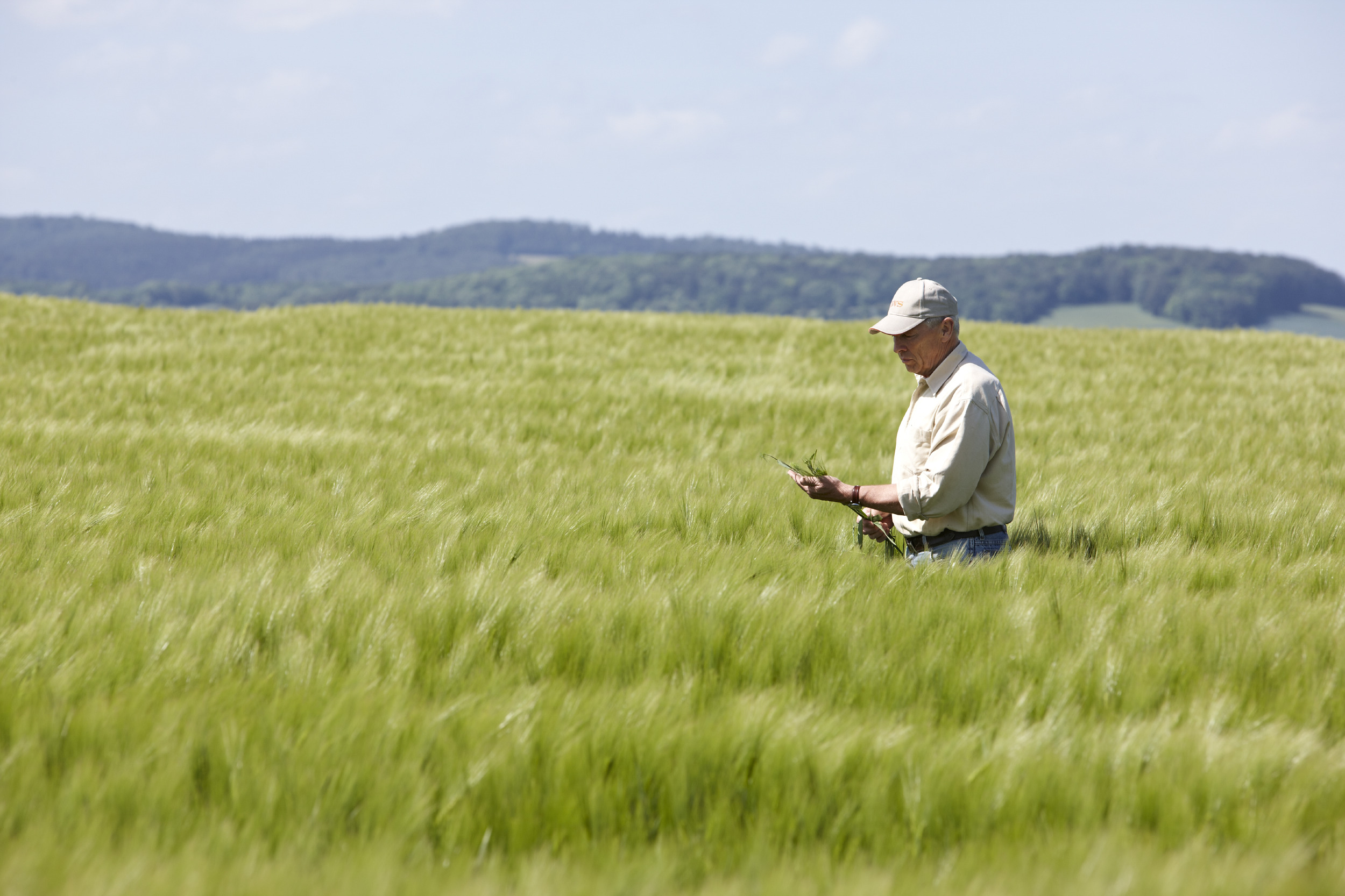 _k8a2700_gerste_landwirt.jpg