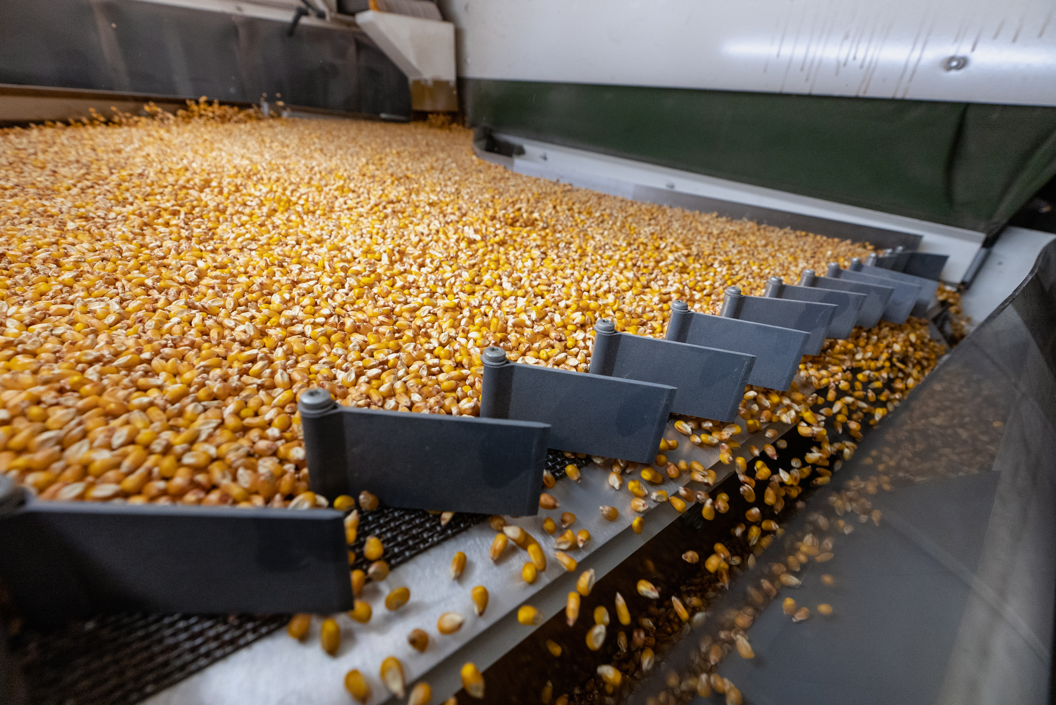 Калібрування насічння