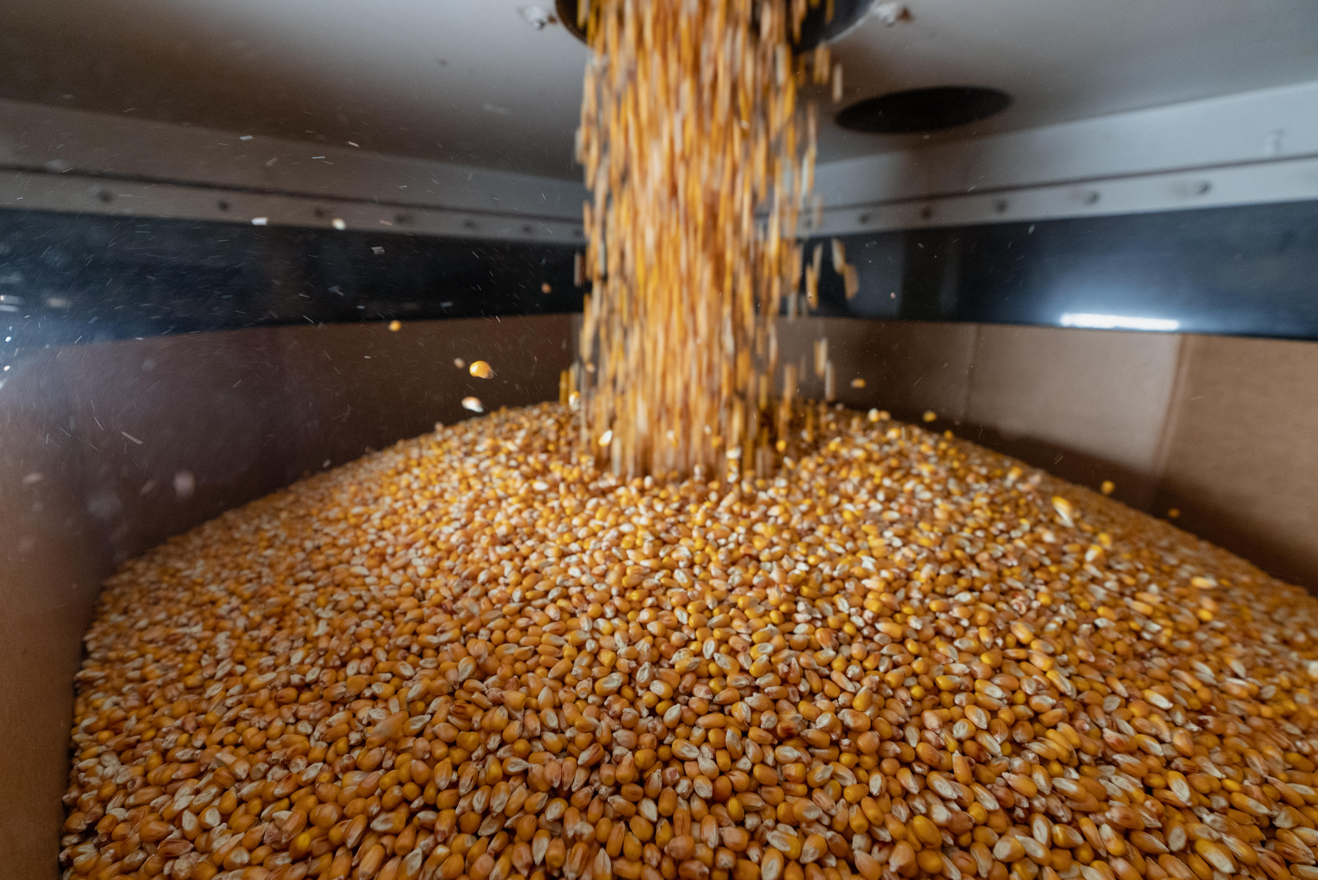 Зберігання насіння в октабінах