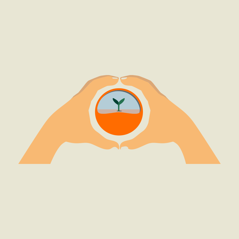 planning consultancy sowing salesrep farmer