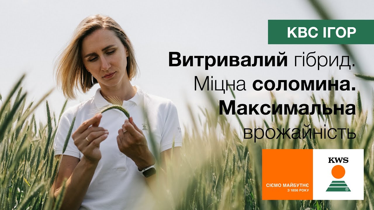 %D0%BA%D0%B2%D1%81-%D1%96%D0%B3%D0%BE%D1%80.jpg