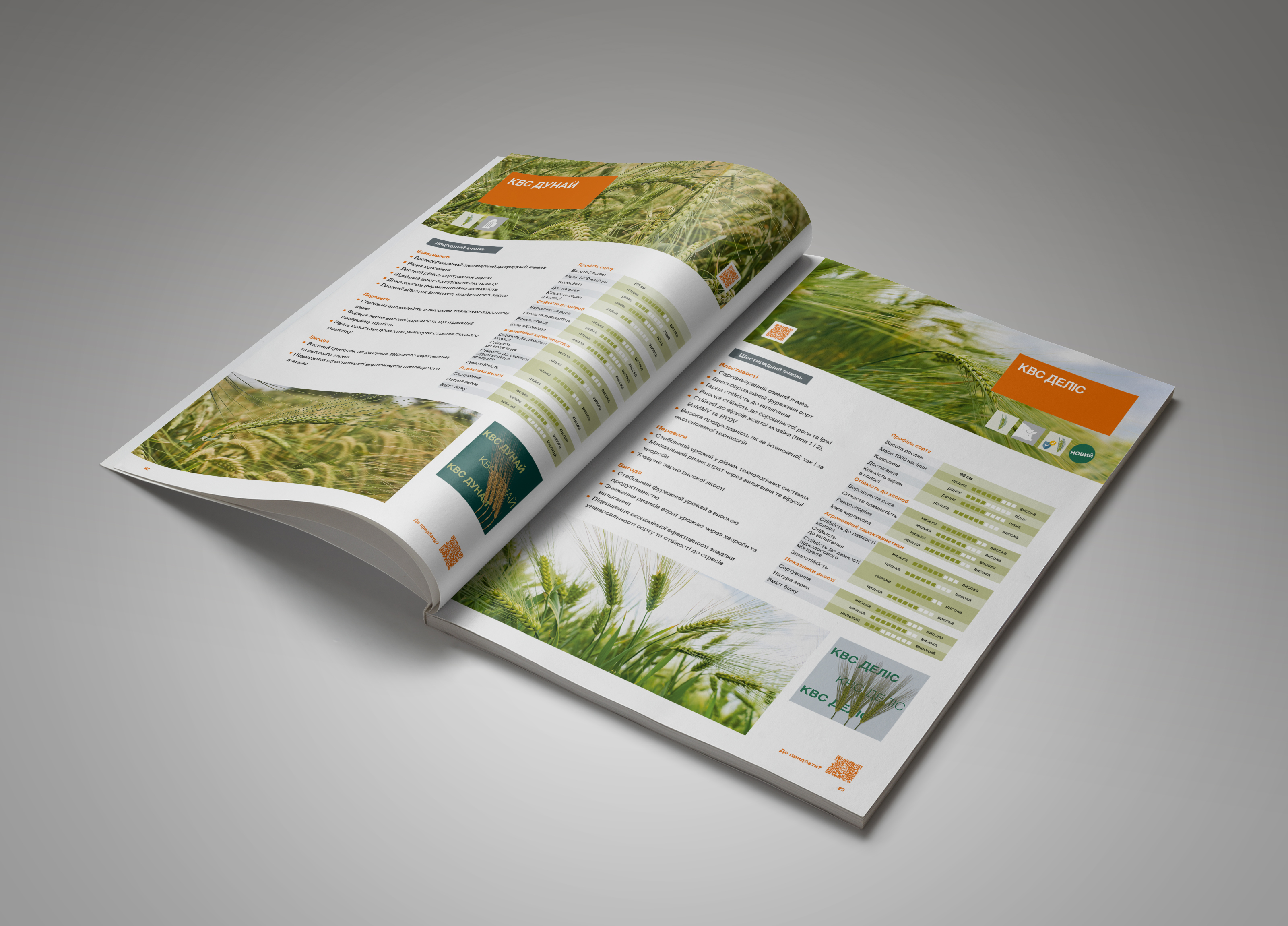 katalog_sortiv_zernovykh_ta_zernobobovykh_kultur_2026_2027_barley.jpg
