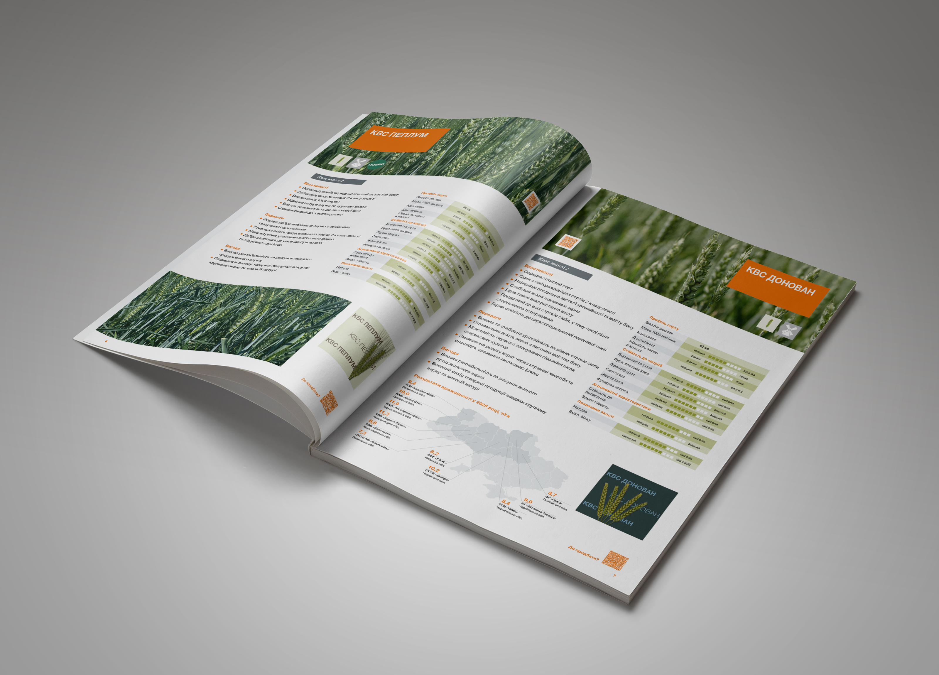katalog_sortiv_zernovykh_ta_zernobobovykh_kultur_2026_2027_wheat.jpg