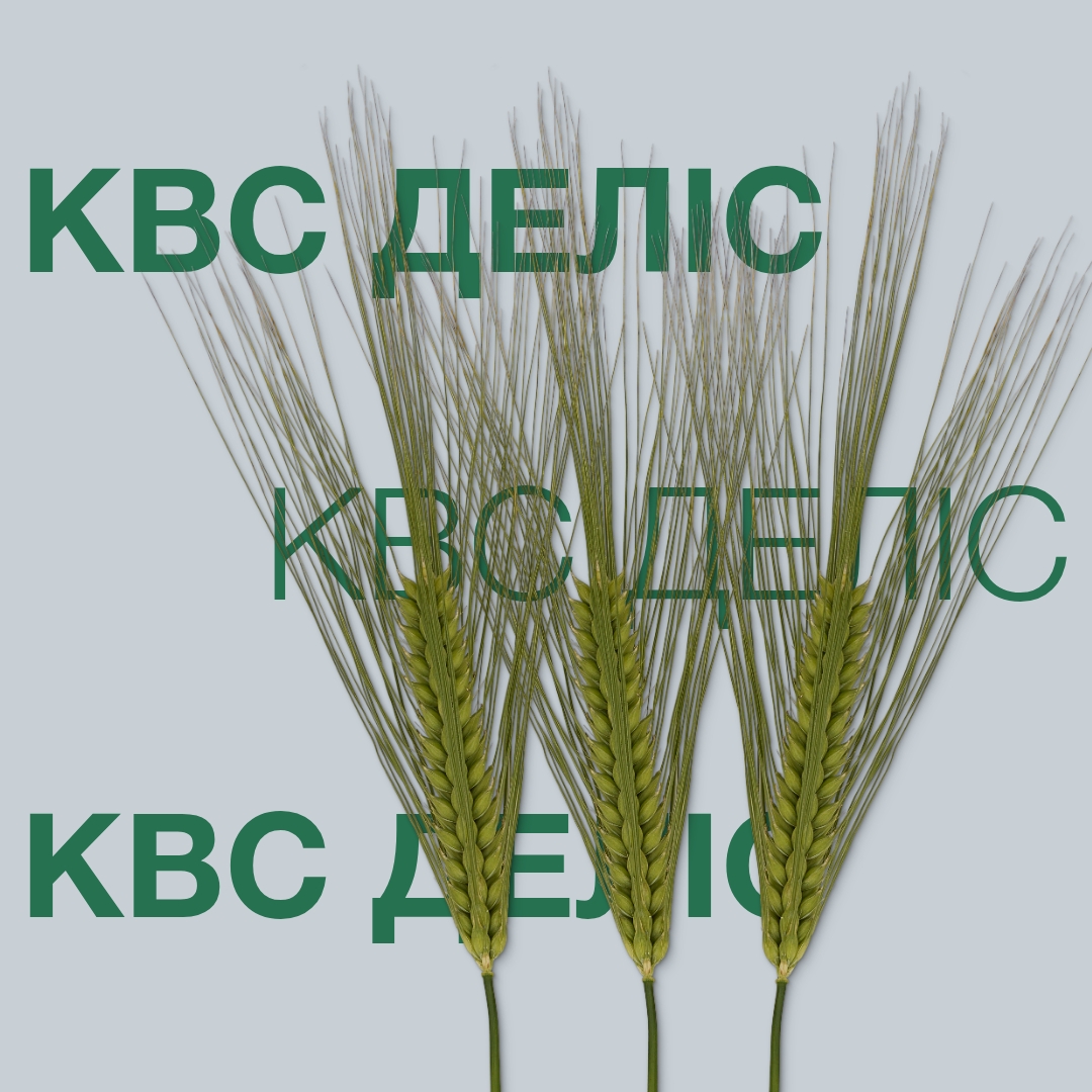 kws_delis-(1).jpg