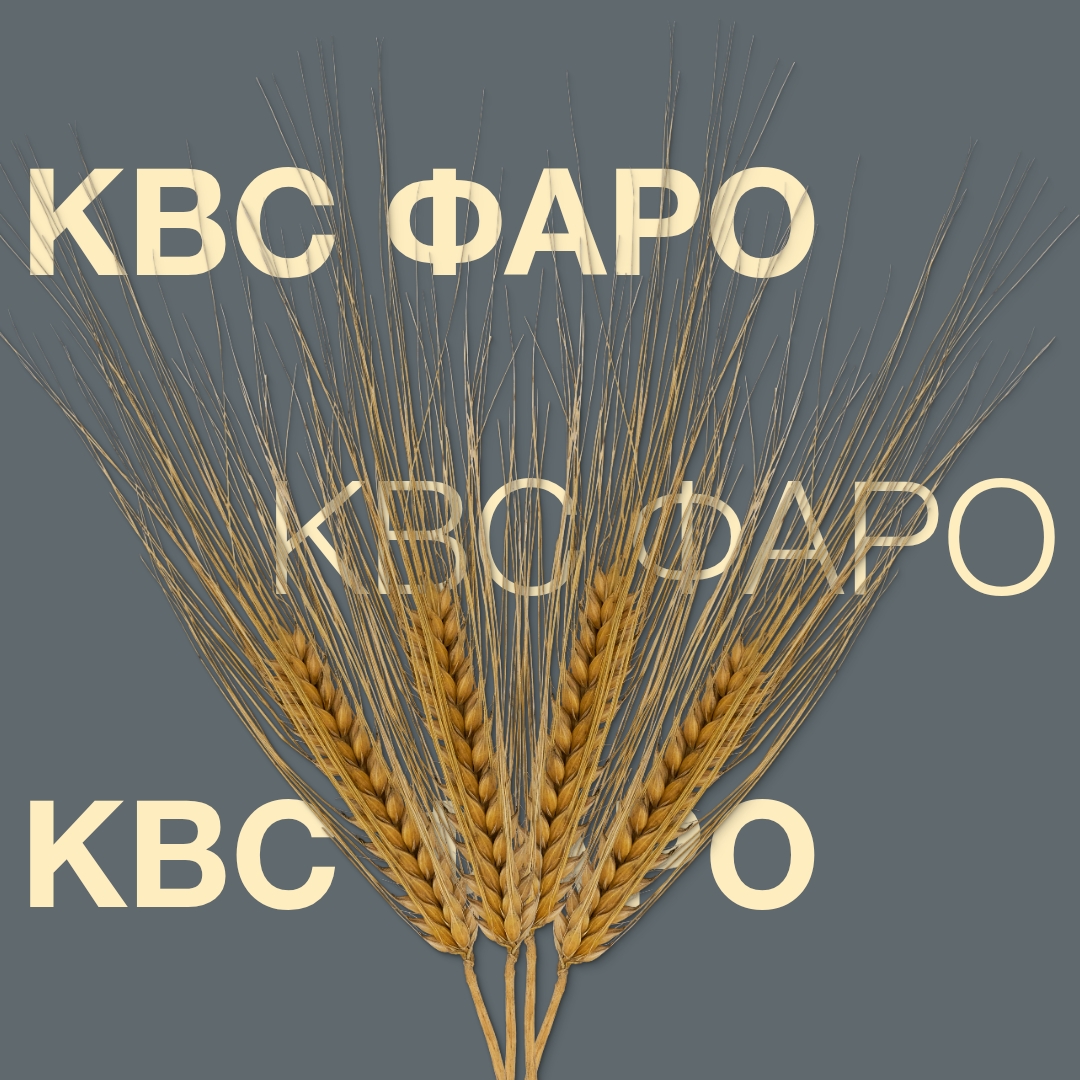 kws_faro-(1).jpg