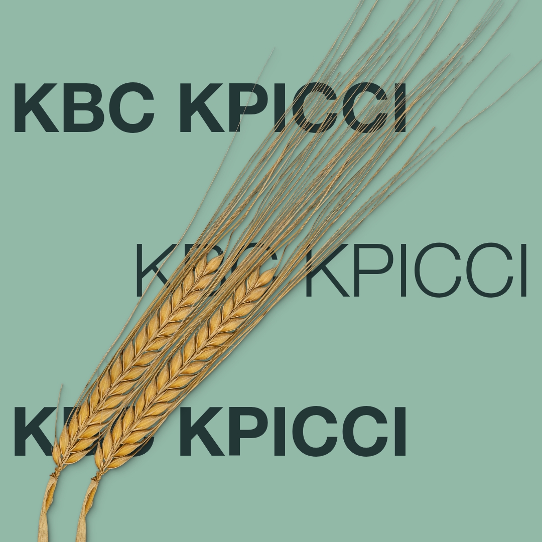 КВС КРІССІ