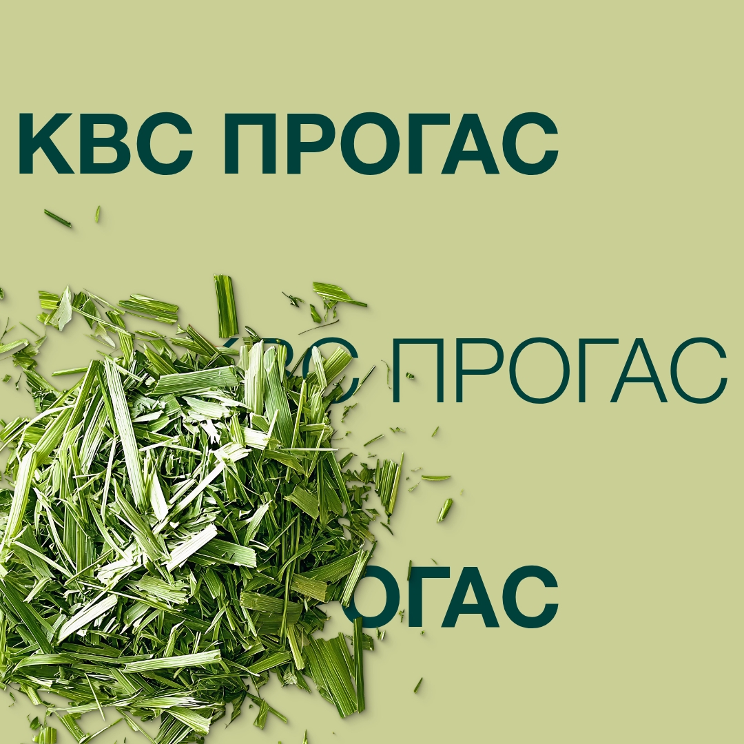 kws_progas.jpg