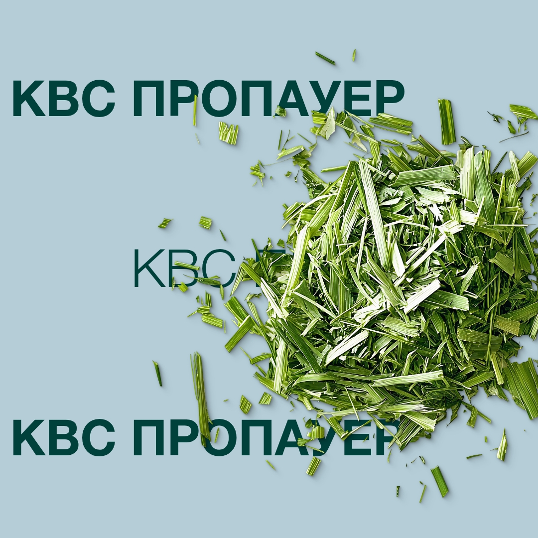 kws_propauer.jpg