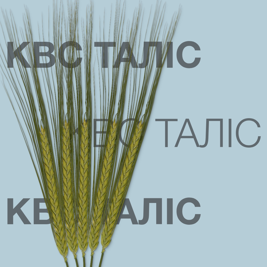 kws_talis-(1).jpg