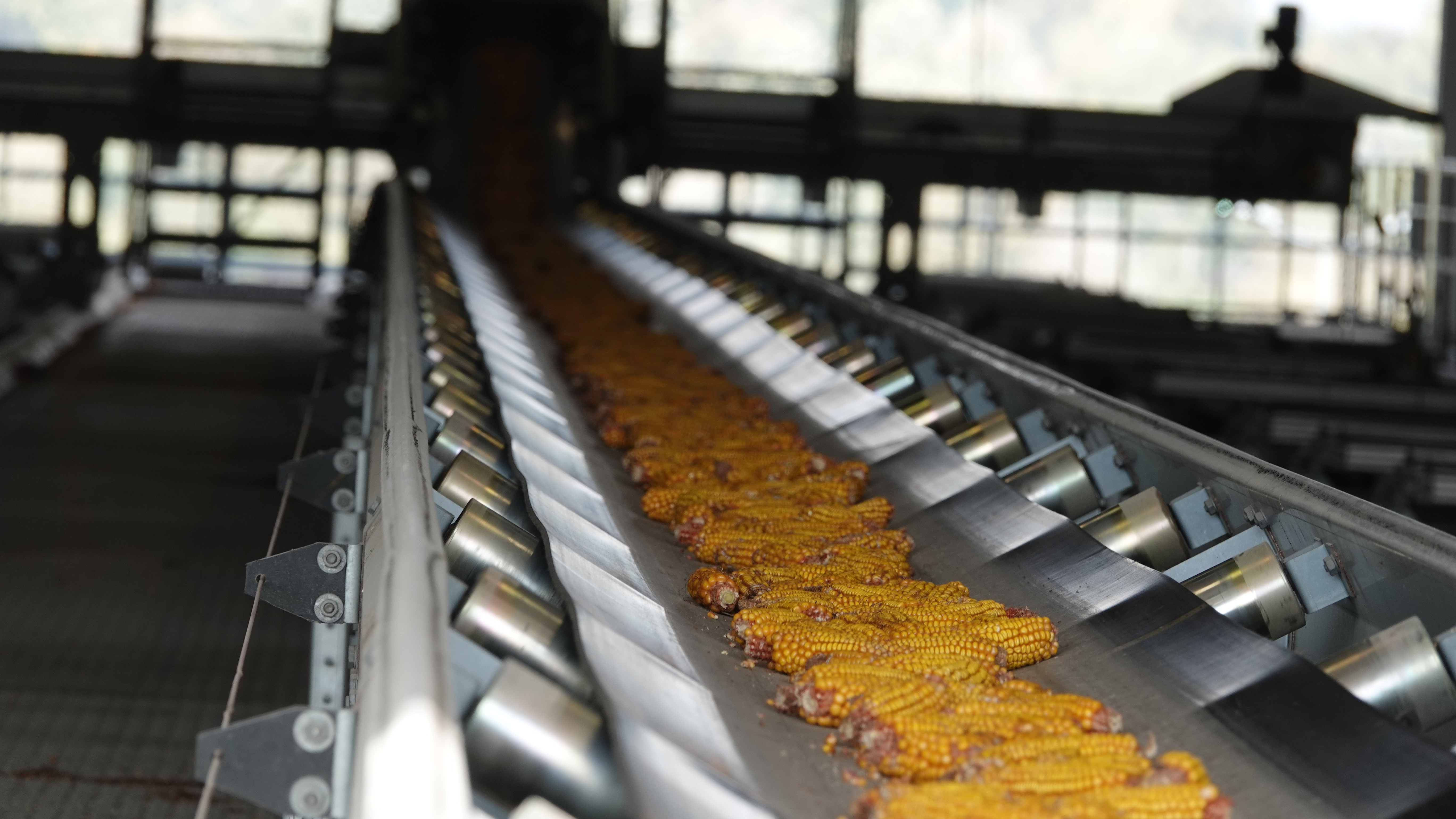 Сушіння та обмолочування