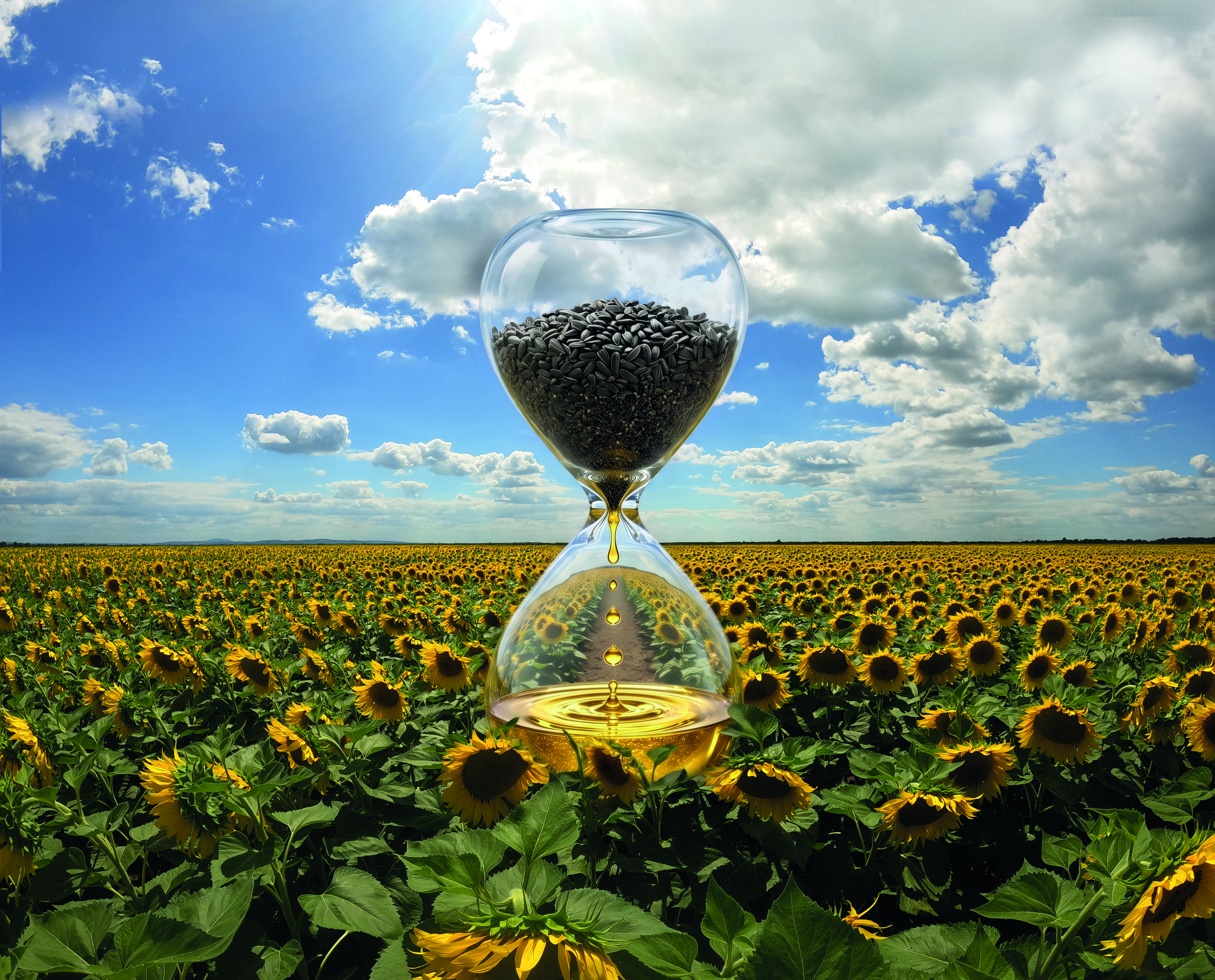 planning consultancy sowing salesrep farmer