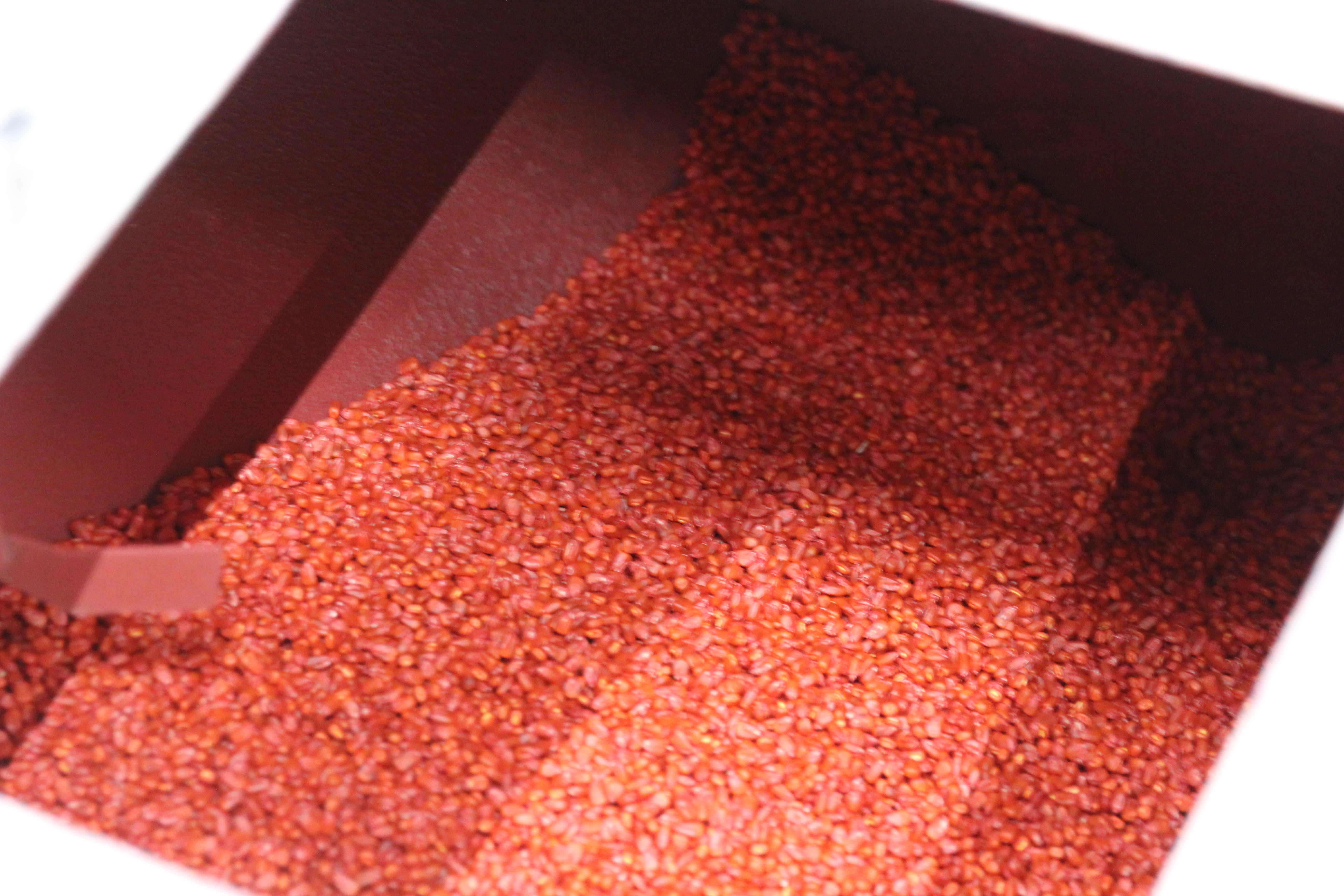 Протруювання насічння