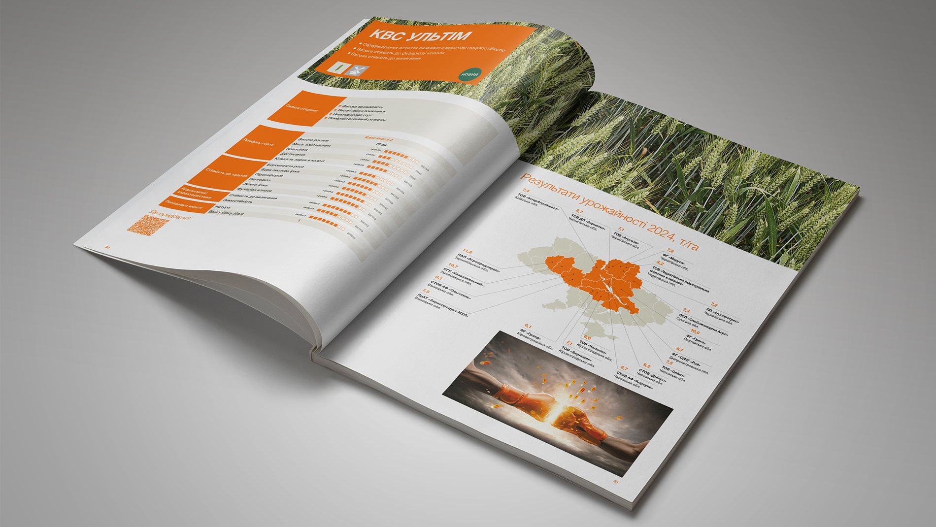 katalog_sortiv_zernovykh_ta_zernobobovykh_kultur_2025_2026_wheat.png
