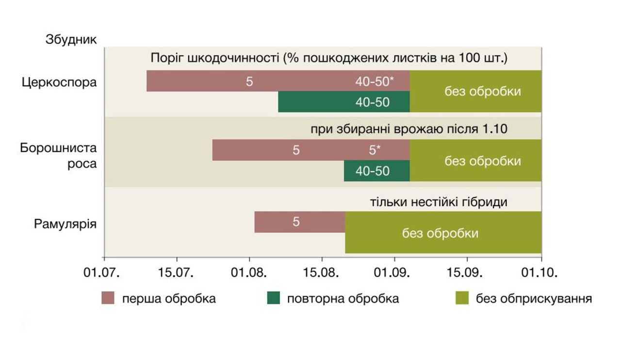 Мал. 3. Хвороби листя (церкоспора, рамулярія, борошниста роса)