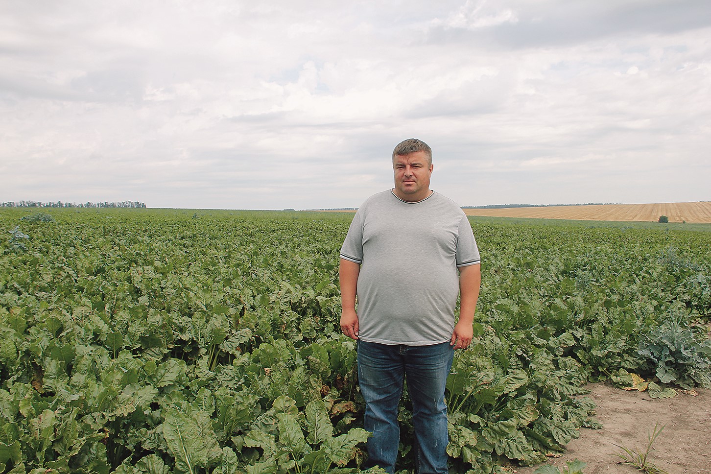 Роман Куран, головний агроном СПП «Кісниця», с. Кісниця, ТУЛЬЧИНСЬКИЙ район, Вінницька область