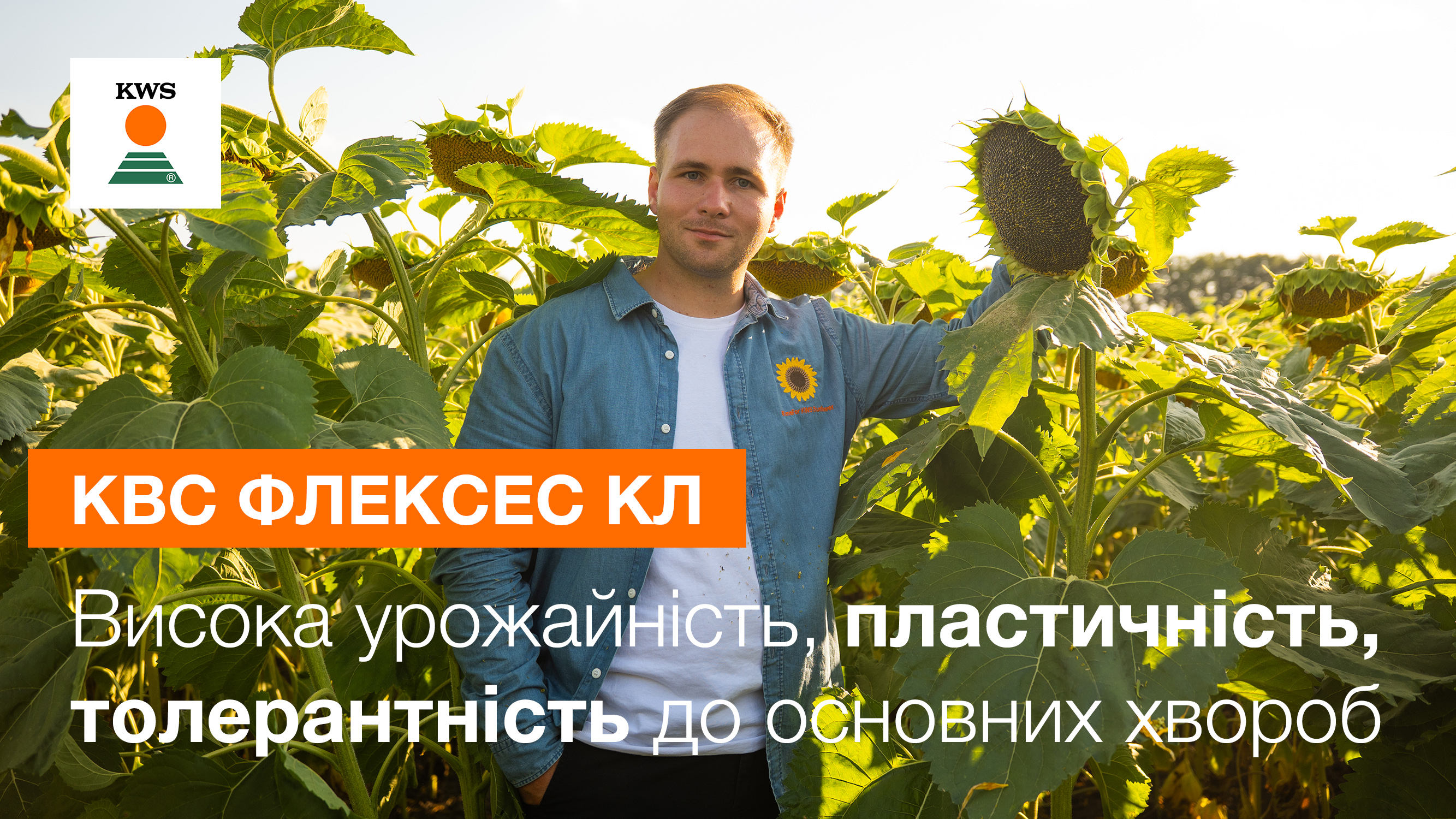 Логотип KWS. Менеджер з продукту у посіві посоняшнику