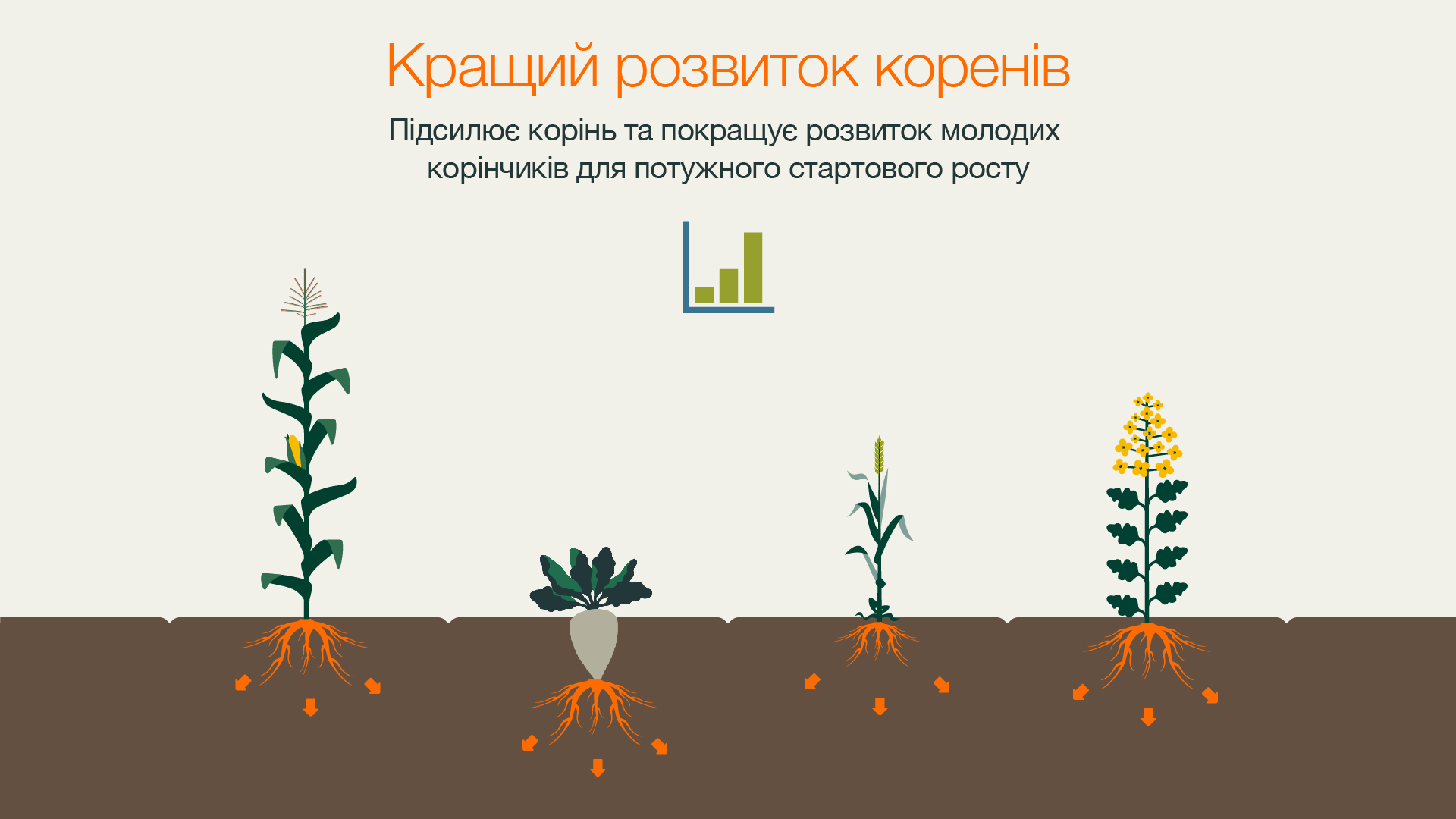 4_kws_initio_infografik_better-root-development_ua.jpg