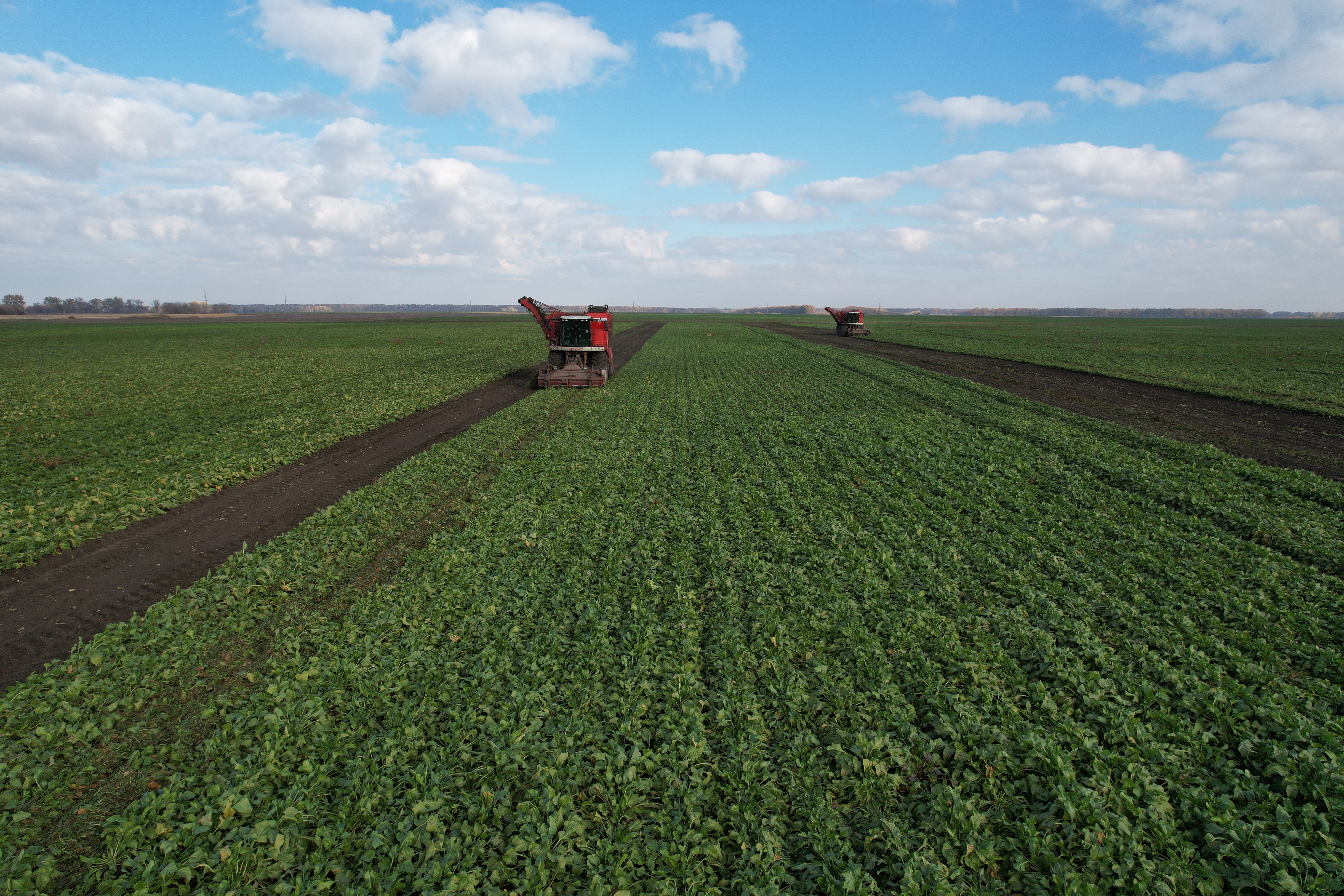 kws-sugarbeets-poltava-region-01.jpeg