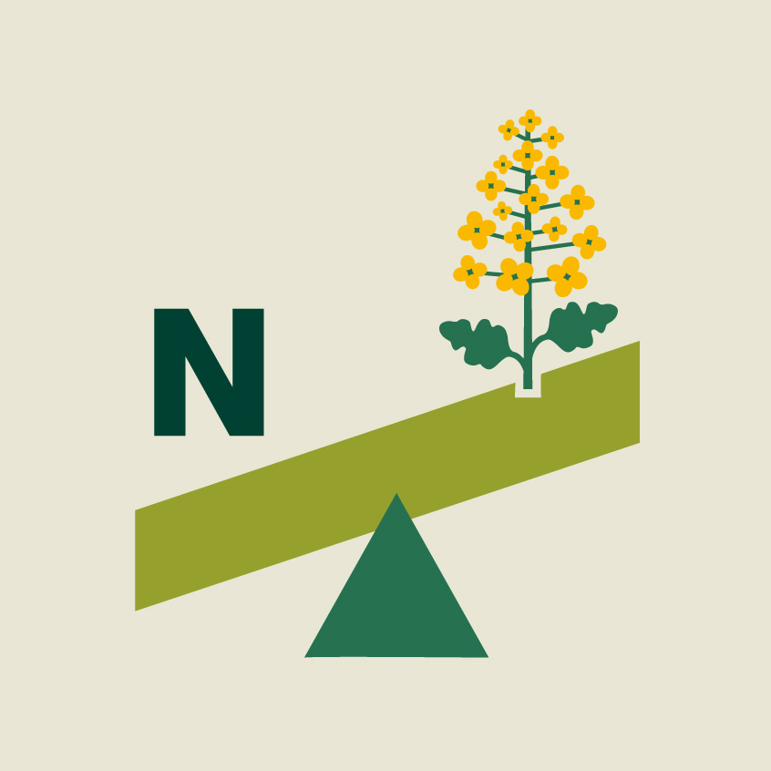 kws-tool-icon-nitrogen-scale-calculator-osr-square.jpg