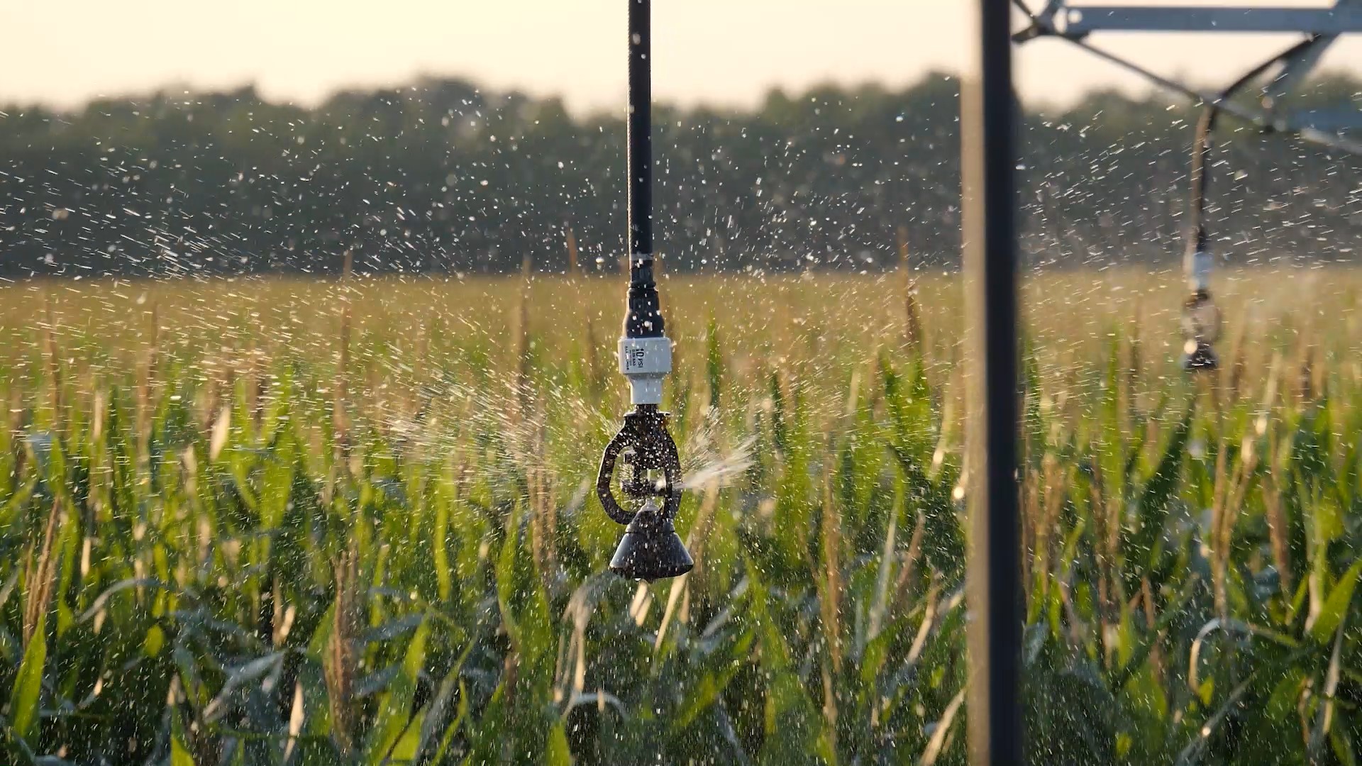 Зрошення та цифровий моніторинг