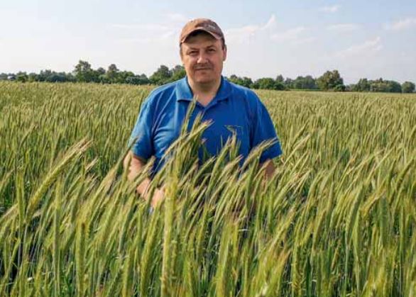 Юрій Лисак, головний агроном ГК «Агро Регіон»