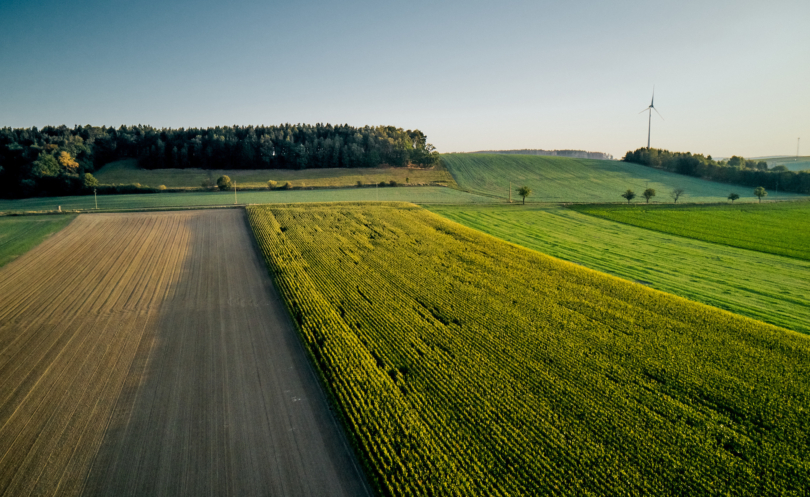 kws0920_fields_crop_rotation_0156.jpg