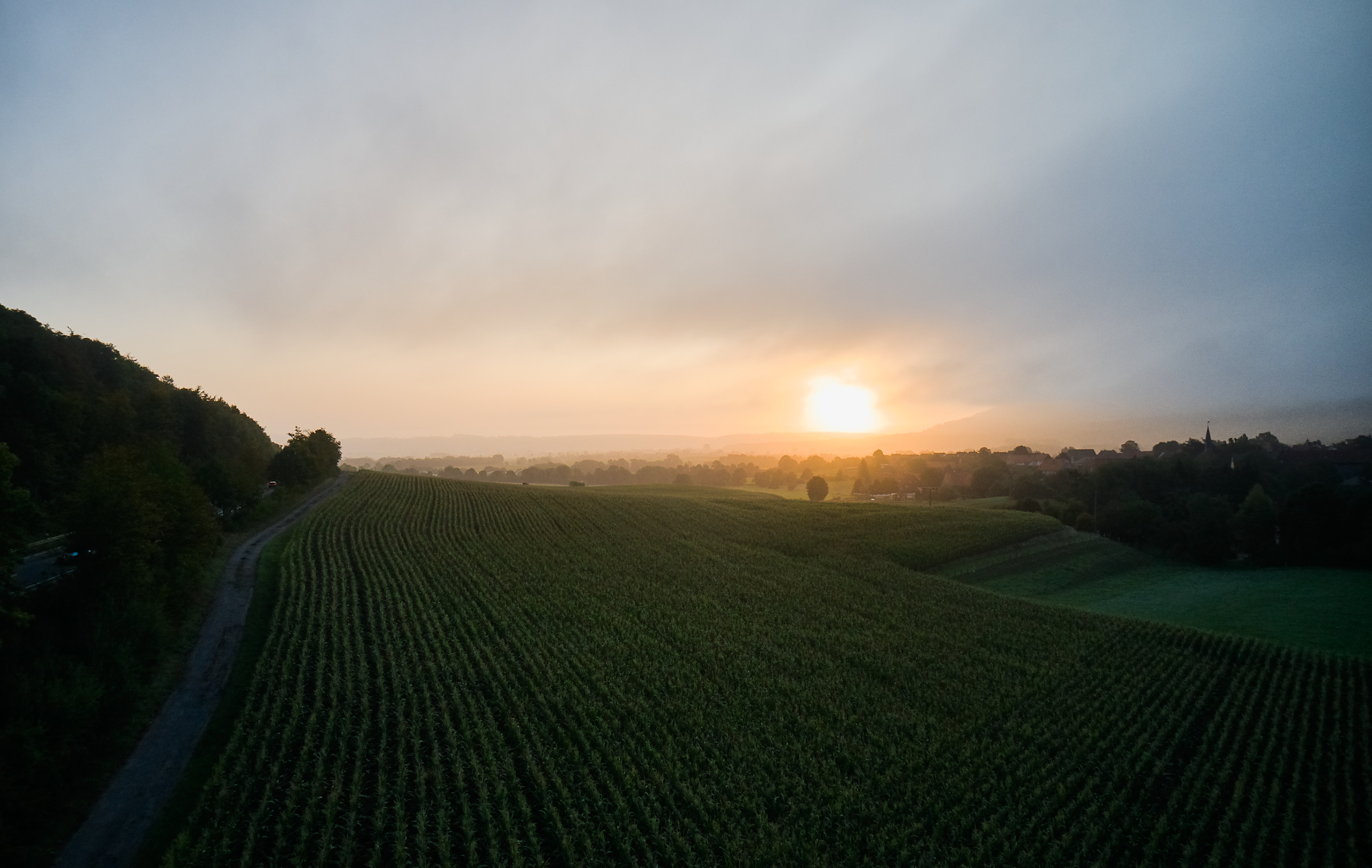 kws0920_landscape_cornfield_drone_shot_0114.jpg