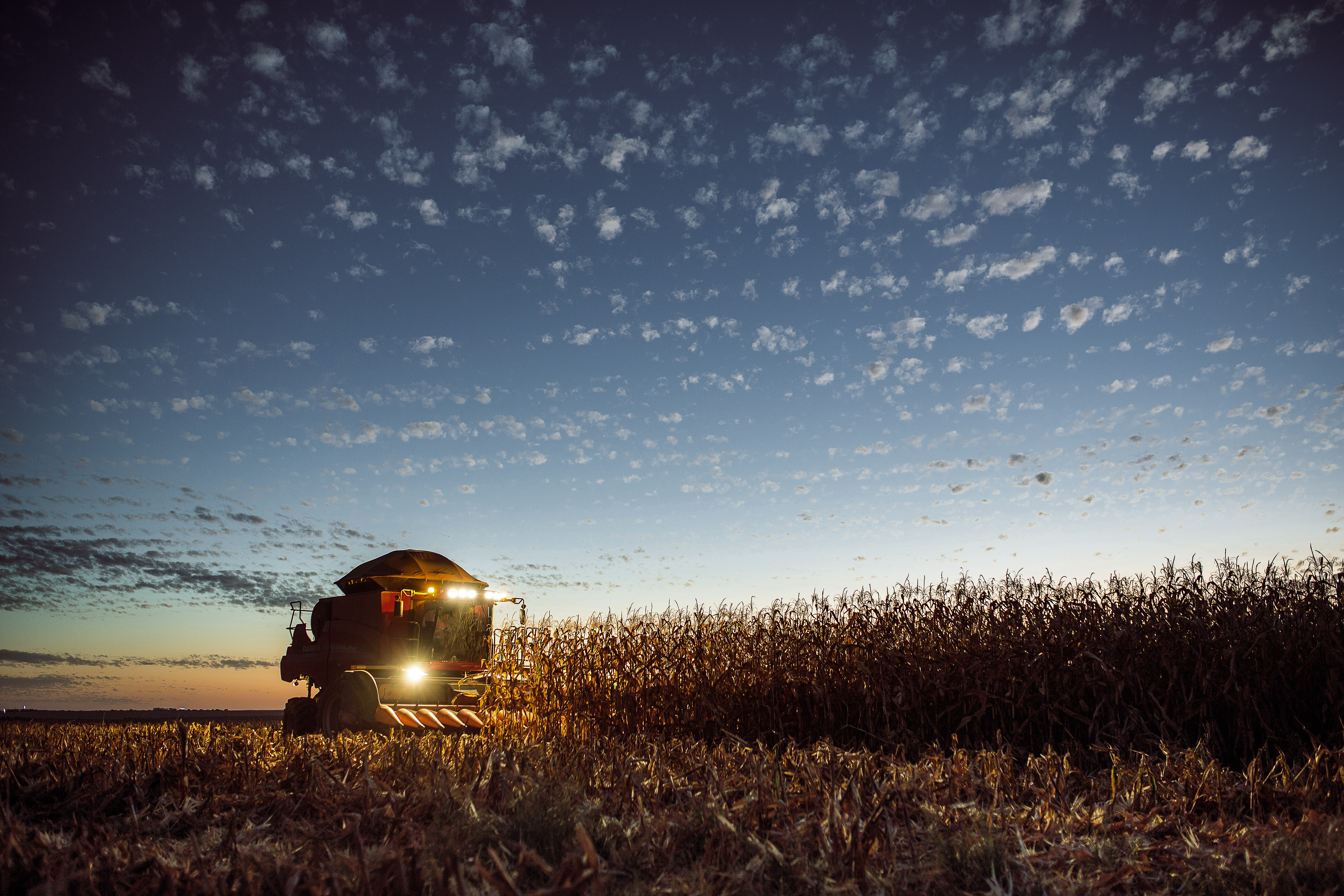 kws201707_minasgerais_corn_harvest_7932_rgb_srgbflat.jpg