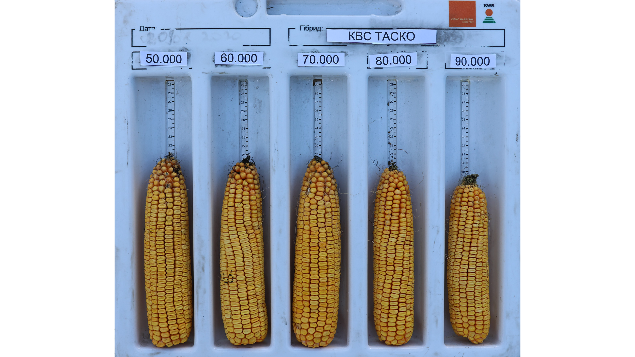 Рис. 10 Качани КВС ТАСКО