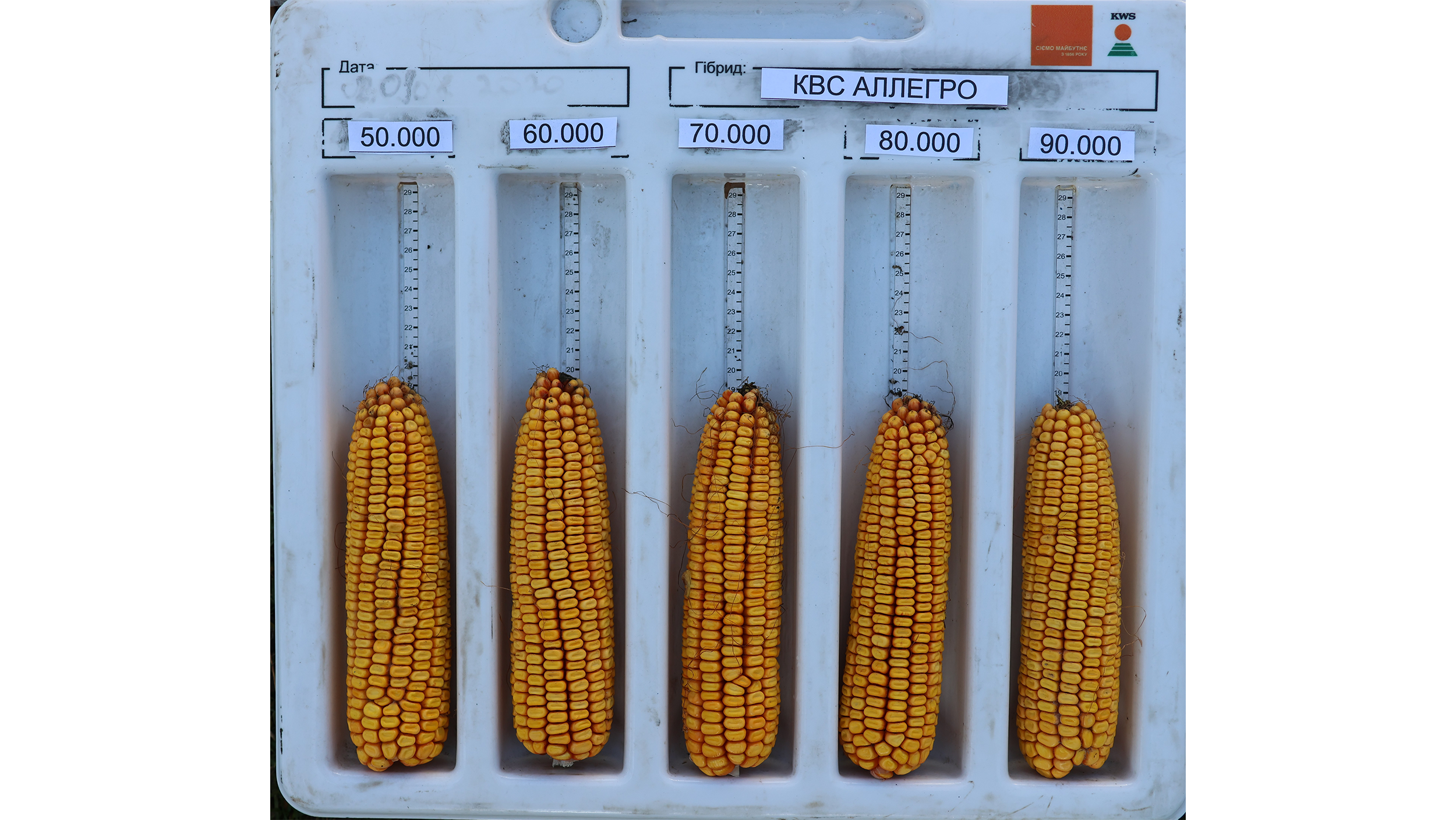 Рис. 12 Качани КВС АЛЛЕГРО
